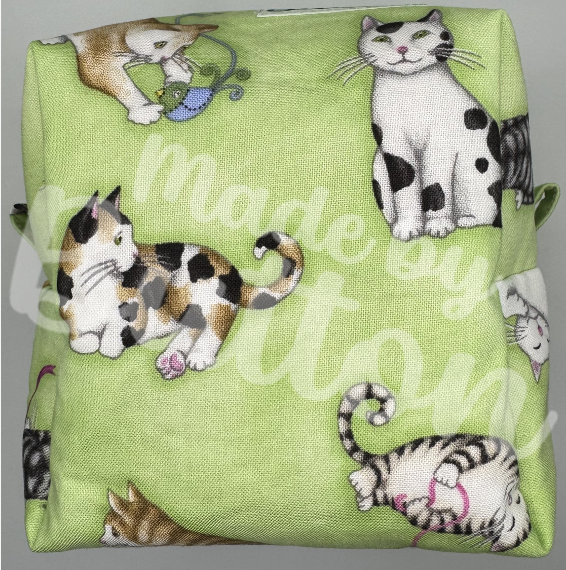 "A Kitty's Curiosity" Boxy Pouch